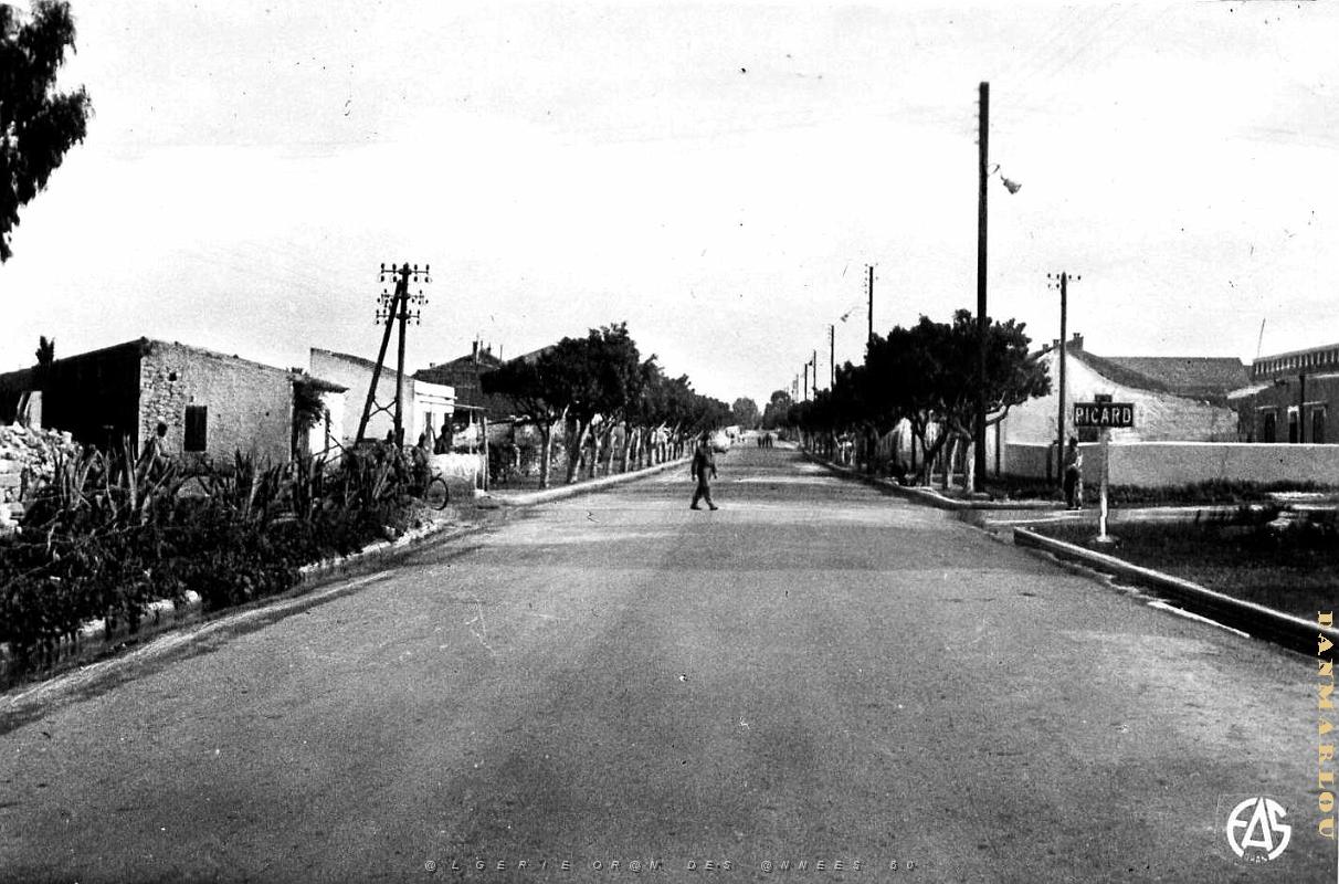Picard 502- Rue principale COLLECTION DES AMIS DE ND DE SANTA CRUZ.jpg